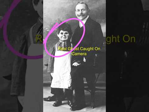 Dear David Part 2: The Haunting Gets Worse 👻📱 #truestory