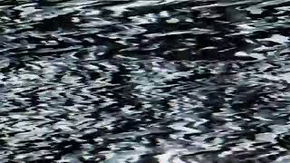 Download lagu Duniamaya- Pujaan Hati mp3