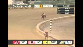 feodor 50 leaght longest margin winner in a horse race Video