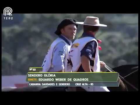 Região SC/PR – 1° e 3° lugar fêmeas – Orquídea Negra Mapocho e Sendero Glória (Campo II)