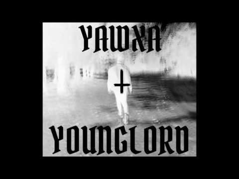 Yawxa - YOUNGLORD