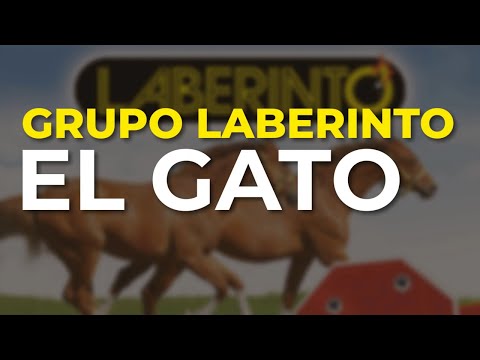Grupo Laberinto - El Gato (Audio Oficial)