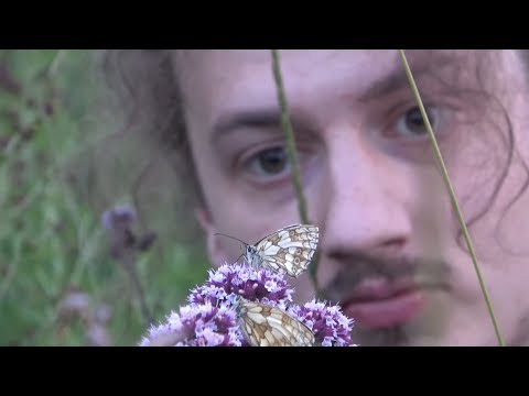 Vidéo YouTube