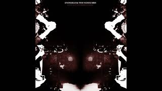 D'Angelo and The Vanguard - Live At Tanzbrunnen (Live Album) [2015]