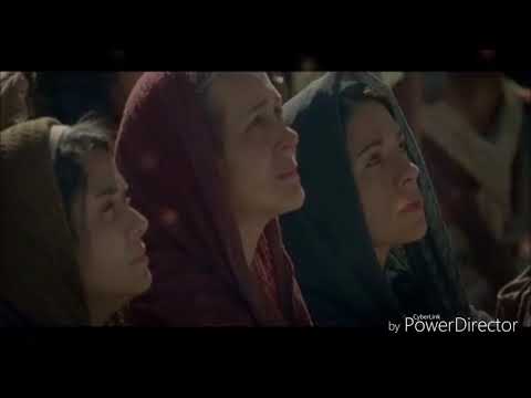 Corazón de guerrera- Nancy Amancio