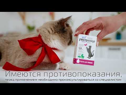 Миниатюра изображения товара Капли для регуляции половой активности у животных Гестренол Для кошек (1.5мл)
