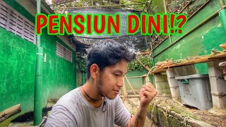 Download lagu TERNAK IGUANA SUDAH TIDAK MENJAJIKAN! mp3
