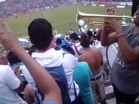 "Mi corazón, pintado blanquiazul" Barra: La Demencia &bull; Club: Celaya