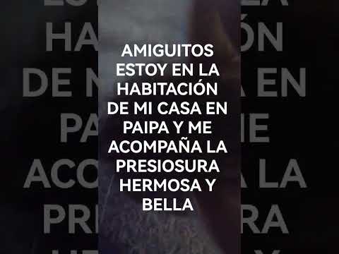 PREPARACIÓN PARA EL DÍA DEL VIAJE AL VALLE DEL CAUCA ROLDANILLO COLOMBIA CON CARAMELITO