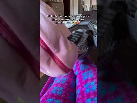 PLUS D’INFOS EN BI0 💖 Connaissez-vous quelqu’un qui en aurait besoin ? 🥹❤️‍🩹 #peluche #cadeau