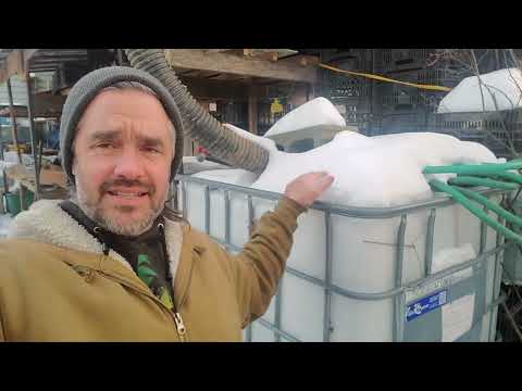 Tank Trouble: Permaculture Water Gone Bad?