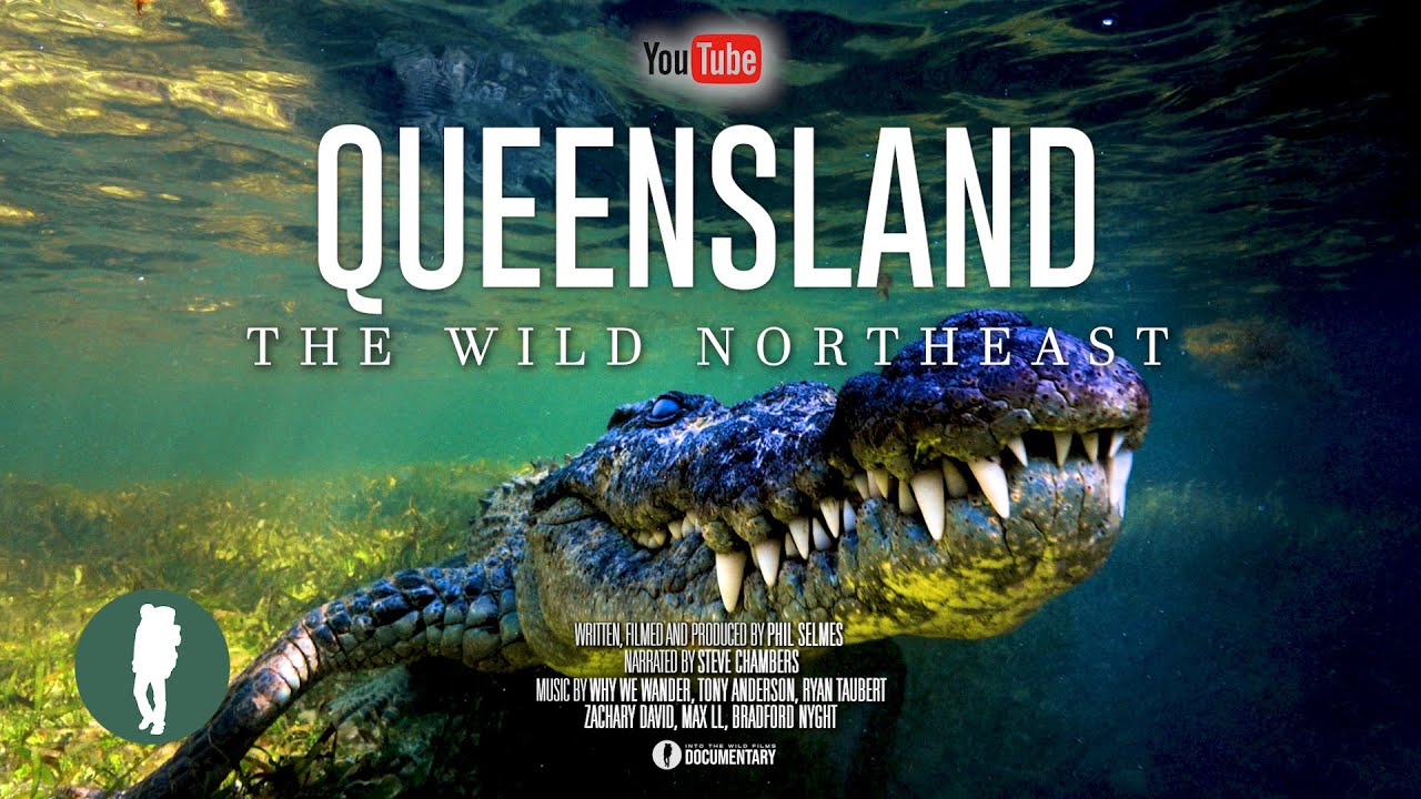 Australia’s Wild Northeast | Wildlife Documentary 4K | Queensland Animals and Landscapes