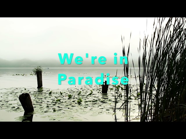 Video preview