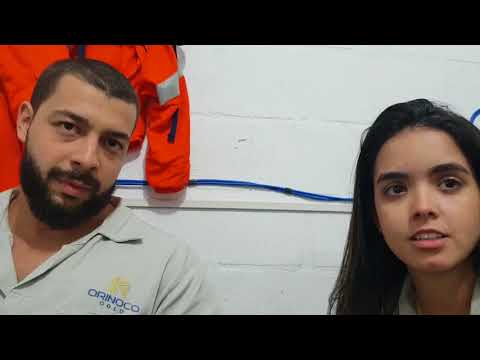 Geological Modelling of Cascavel Mineralisation