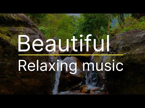 BEST NIGHTINGALE SONG   3 Hours REALTIME Nightingale Singing,