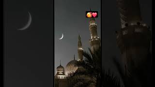 Download lagu Sheikh ibn Bashir #suarhmaidah #quran #recitation #quranrecitation mp3