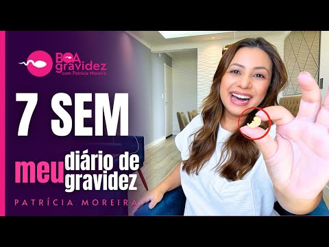 7 SEMANAS DE GESTAÇÃO | DIÁRIO DE GRAVIDEZ - Bebê Arco-Íris