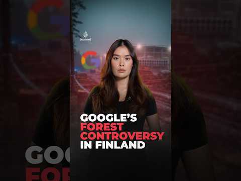 Backlash hits Google over Finnish tree destruction