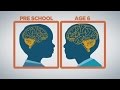 How baby brains develop - YouTube