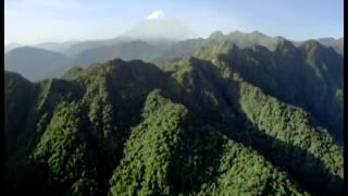 Long long long - The Beatles (Naturaleza)