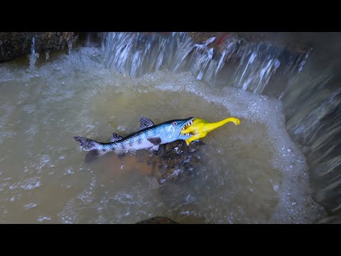 Seru Mencari Mainan Dinosaurus dan Ikan Lucu, Brontosaurus, Lobster, Ikan Salmon, Lumbalumba Part496