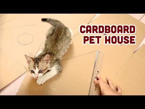 Amazing Kitten Cat Pet House from Cardboard | Make a Cat Tent from Cardboard