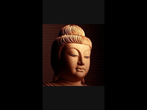60 Das Wort des Buddha 07 01 2022 Die zweite edle Wahrheit DN 22