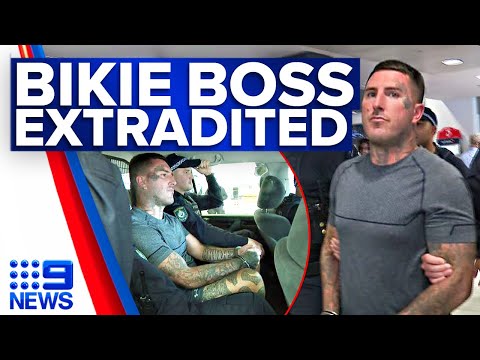 Police target Comancheros as boss extradited to Sydney | 9 News Australia