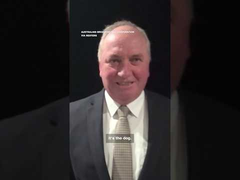 'Sit down!’ Australian politician sparks backlash after shouting at dog