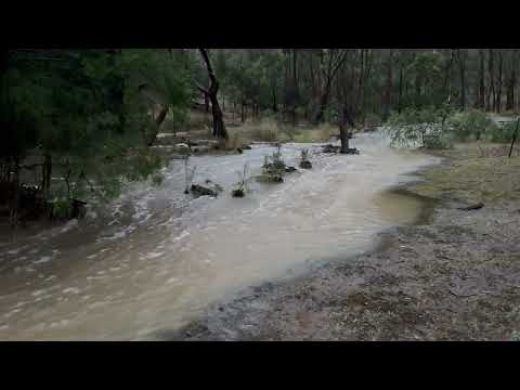 Flood 1