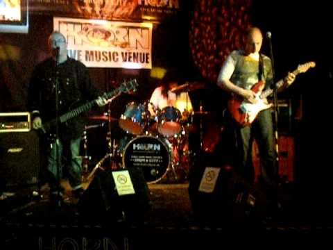 thee templars- Live Wild Thing