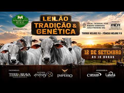 🐮🇧🇷 LEILÃO TRADIÇÃO E GENÉTICA  - SINDICATO RURAL DE JOAO PINHEIRO - MG