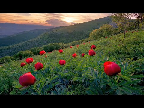 Jelena Tomašević - 'Remembrance'-duža verzija   (LEPOTE PRIRODE)