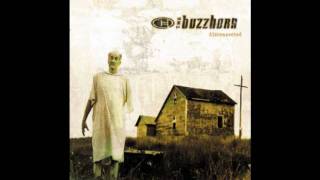 The Buzzhorn - Pinned To The Ground [HQ Audio]