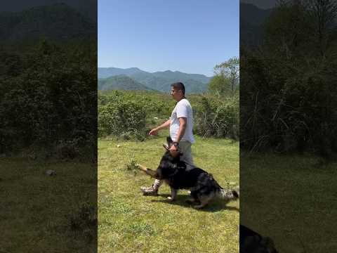 OBEDIENCIA. #relaxing .                         Iran 🇮🇷