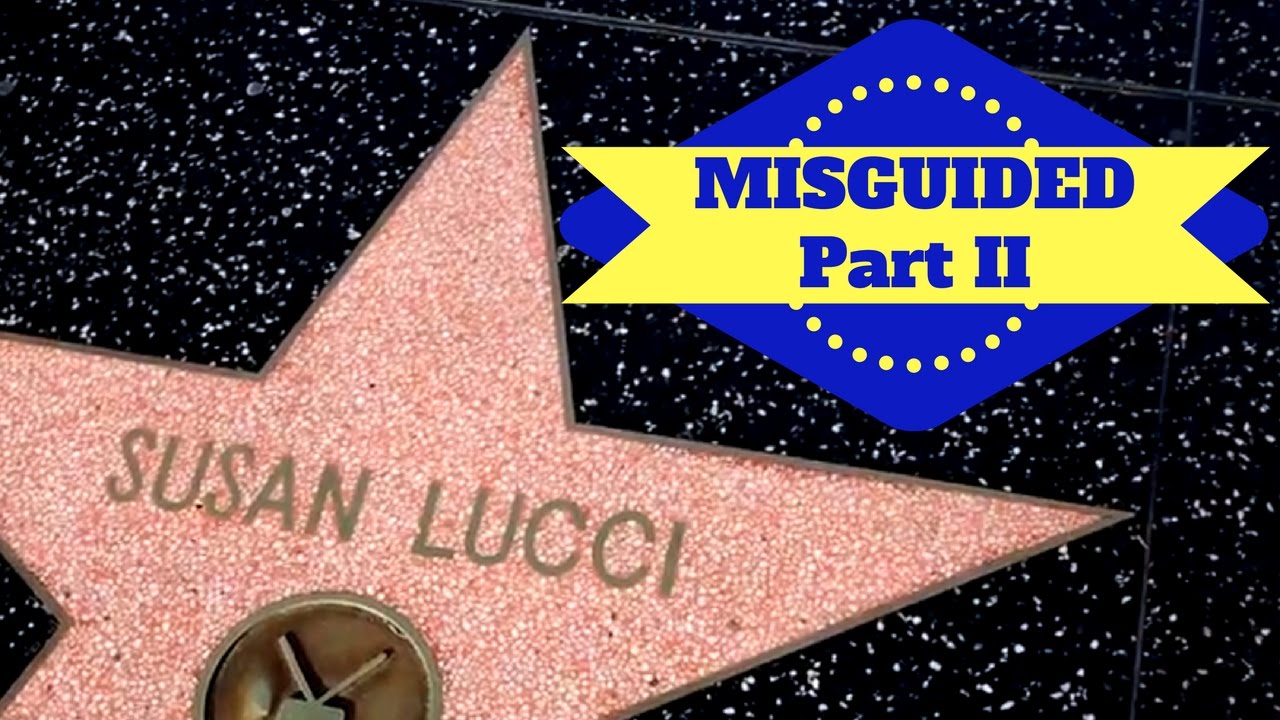 Misguided Official 3