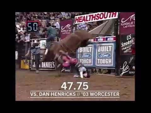 Little yellow jacket