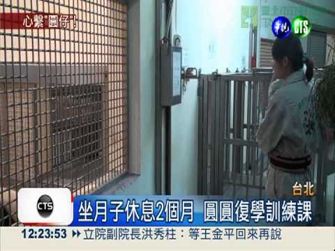 九月開學季 圓圓復學訓練課了!