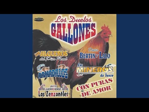 Lo Más Hermoso del Mundo