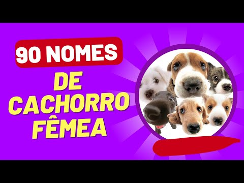 FEMALE DOG NAMES: a list of 90 female dog names to inspire you!