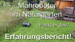 Mähroboter Bosch Indego S 500 im Naturgarten - Packt er das?