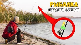 Ловля окуня на фидер осенью