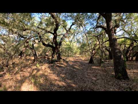Armadillo Trail Video Thumbnail