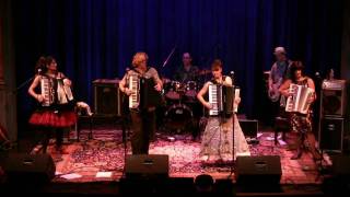 Those Darn Accordions-Baba O'Riley