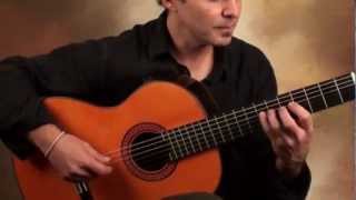 Guitarras Alhambra- Day Tripper