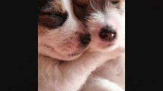 Happy Christmas, War Is Over - Boy George,  Antony Hegarty