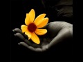 gerard joling - spanish heart 