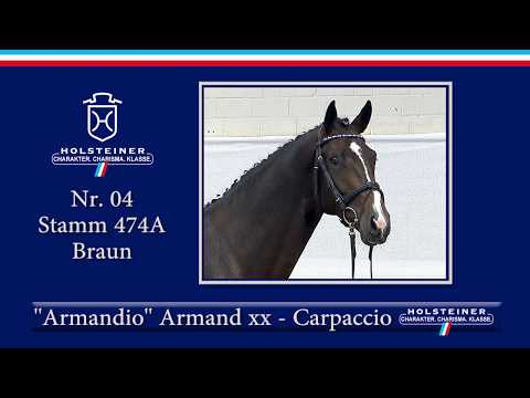 Holsteiner Körung 2019 | Nr. 04 - Armandio