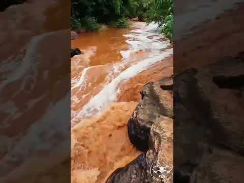 Érico Cardoso, Bahia