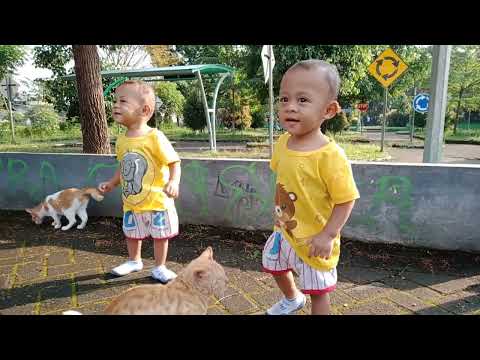 Hafizh & Addin Sayang Kucing - Usia 17 Bulanan